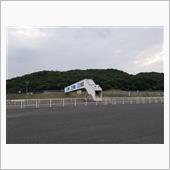 今日はココ