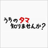 うちのタマ知りませんか？