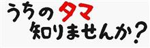 うちのタマ知りませんか？