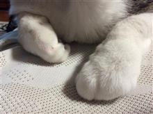 消費期限に達する前に使ってやれ  その1
