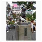 ボチボチと
