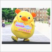 おはゆだわさ