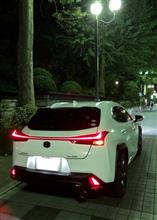 洗車✨
