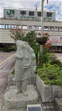 今日は