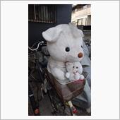 可哀そうな親子が飼い主を待っ ...