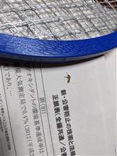 💢射殺命令💢