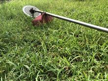 庭の草刈り
