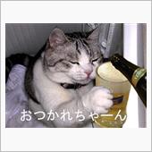 今夜は風呂上がりのビールが旨 ...