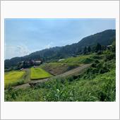 【西山縦貫道路・県道401号 ...