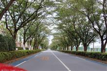 日曜日の朝は．．．朝ドラと倉式珈琲でモーニング
