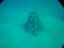 越前海岸壁石浜海岸