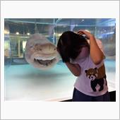 美ら海水族館へ🐟