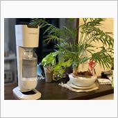 sodastreamと551 ...