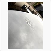 鳥の糞害対策