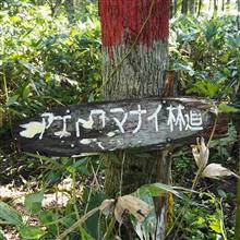 MINI原人のRINDO TREK WONDER 2020 @ 苫前アナトロマナイ MINI原人のRINDO TREK WONDER 2020 @ 苫前アナトロマナイ