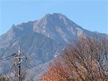 コロノ禍ではありますが・・・