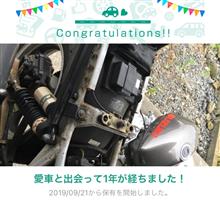 愛車と出会って1年！