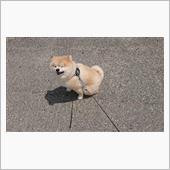 下手糞な板金屋だった・・・