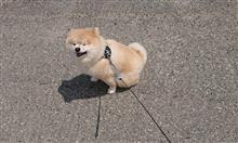 下手糞な板金屋だった・・・