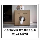 仕事したり、オフ見学行ったり ...