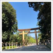 いつも橿原神宮です☘️