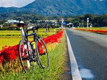 番所の棚田満喫からの夕焼け親子サイクリング 番所の棚田満喫からの夕焼け親子サイクリング