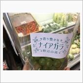 帰宅。