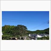 今日は一日マッタリと…😅