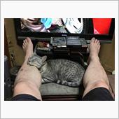 猫の居る風景・・・ 76　御 ...