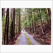 広域基幹林道 麻加江小萩線を ...