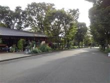取り敢えず 取り敢えず