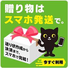 今度は右足