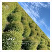 Go To 茨城　～2日目～
