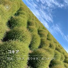 Go To 茨城　～2日目～