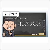ギボシ端子 オス メス どっ ...