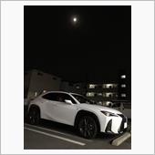 久しぶりのディーラー巡り🚘