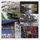 今年、花見は、自粛で巣籠・さ ...