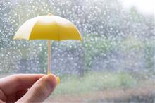 雨が降る前に…