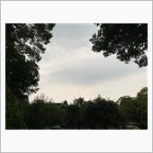 雨も