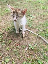 保護観察2日目