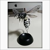クロスズメバチ
