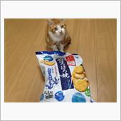 ６日、午前中の仕事は多忙→午 ...