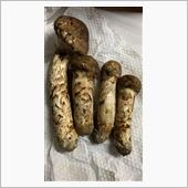 娘IIが松茸ご飯を作ってくれ ...