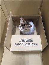 無事旅立ちました