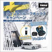 THULEウインタールーフボ ...