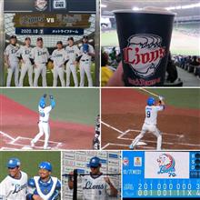 野球観戦（埼玉西武vs福岡ソフトバンク）