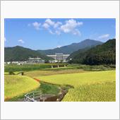 酷道439号線アタック２日目