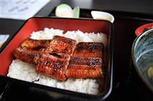 肉厚のうなぎを・・・山美世