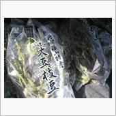 今シーズンも人気のようです、 ...