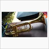 吹いてミタ😙🎺